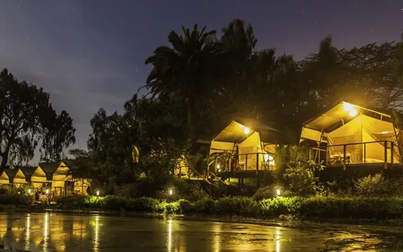 Safari tents at Wildebeest Eco Camp in Langata, a budget choice for where to stay in Nairobi for safari
